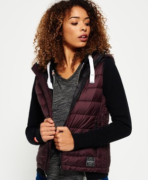 Superdry Core Luxe Női Kabát MélyLila | WDHTL0479